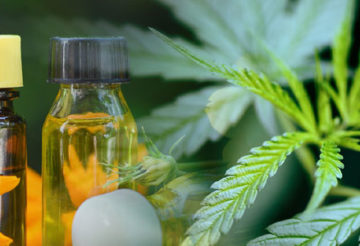 Aliments liquides et solides à base de CBD