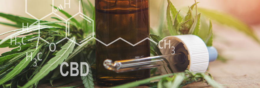 Les propriétés médicales du CBD