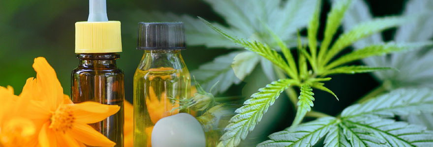 Aliments liquides et solides à base de CBD