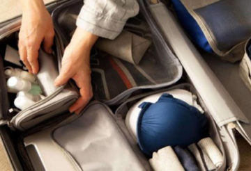 valise