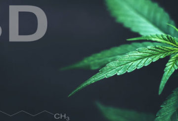CBD à Paris