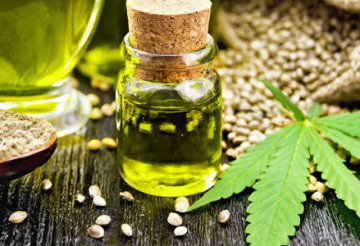 Graines de cannabis